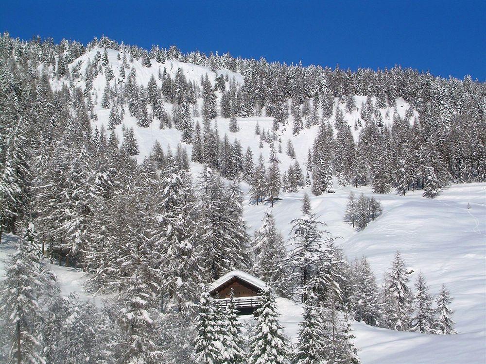 Affittacamere Buenavista Guest House Champoluc Luaran gambar